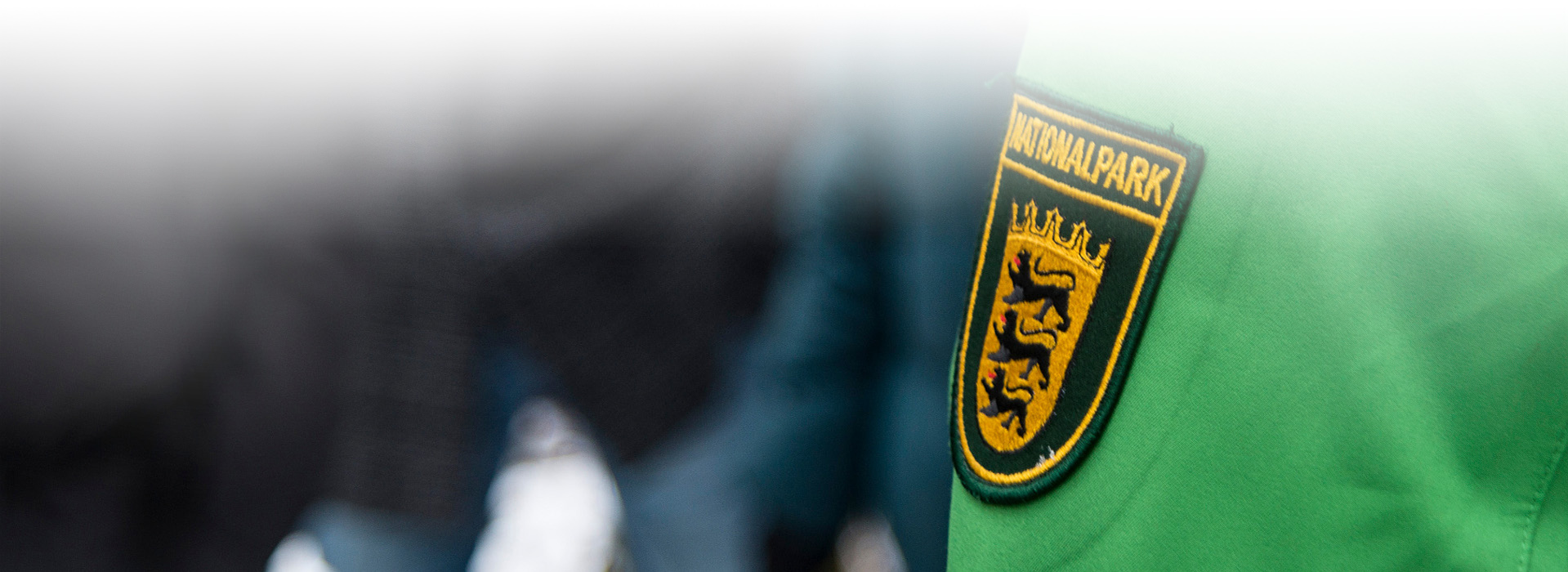 Aufnahme des Rangerabzeichens auf einem Jackenärmel. Es zeigt die drei Löwen des Baden-Württembergischem Wappens und den Schriftzug "Nationalpark".