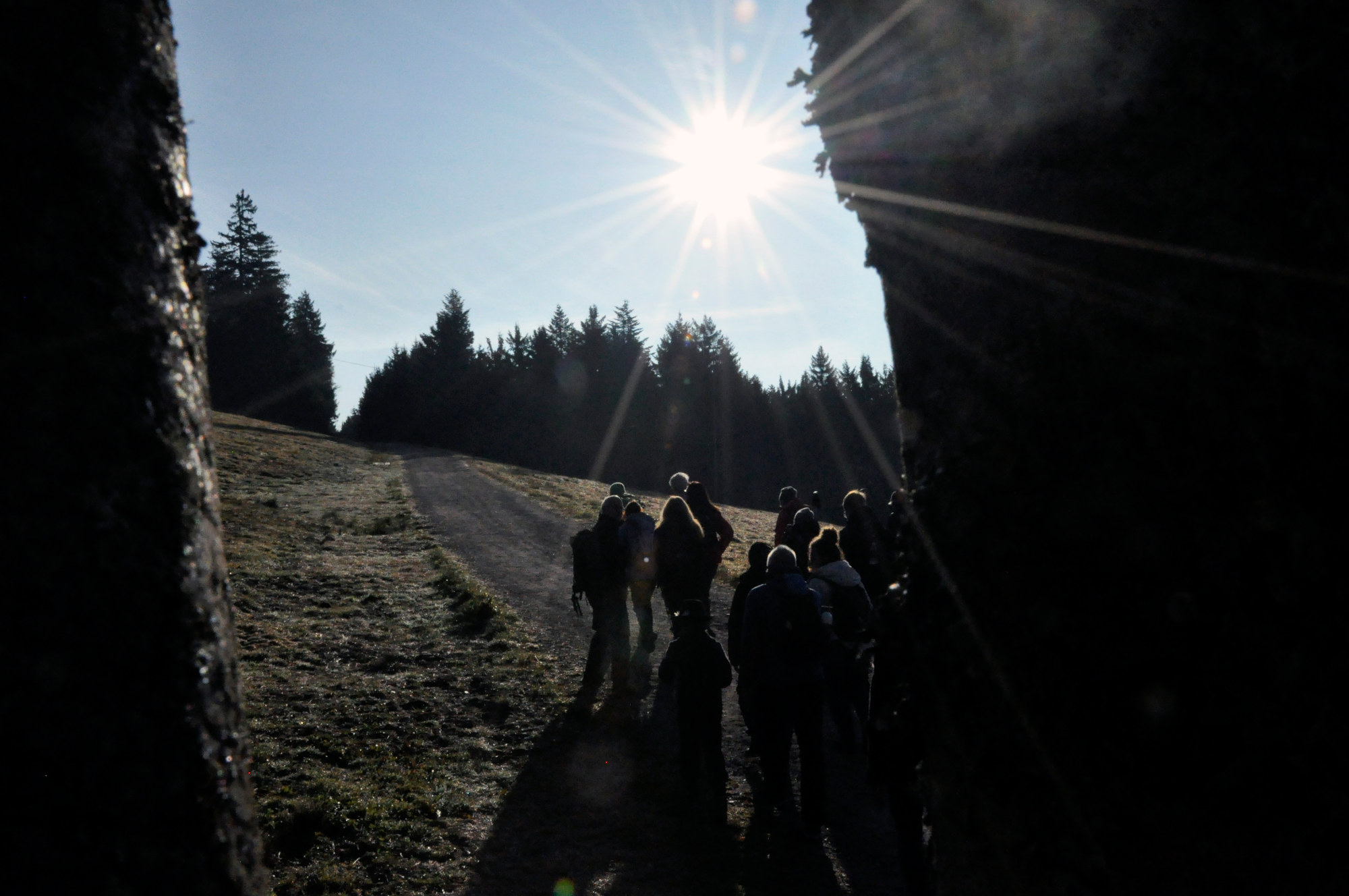 Eine Gruppe Wanderer geht einen breiten Fahrweg einen Wiesenhang hinauf Richtung Waldrand.