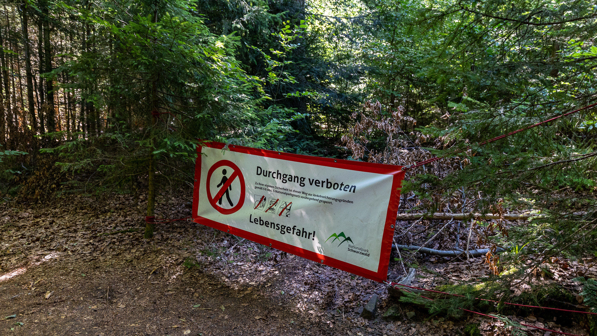 Das Bild zeigt ein Schild, das vor dem Betreten des Waldes an dieser Stelle warnt, da hier Lebensgefahr besteht