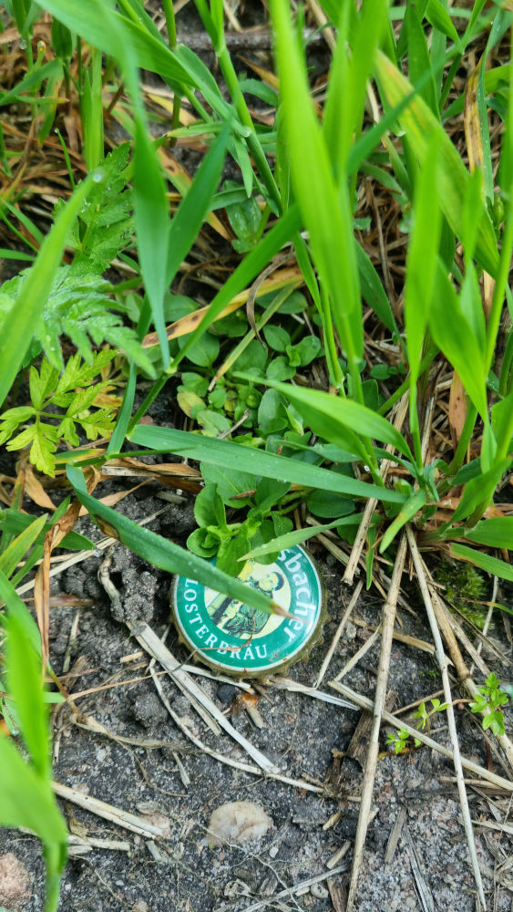 Das Bild zeigt einen grünen Kronkorken im Gras, der von einer Bierflasche stammt.