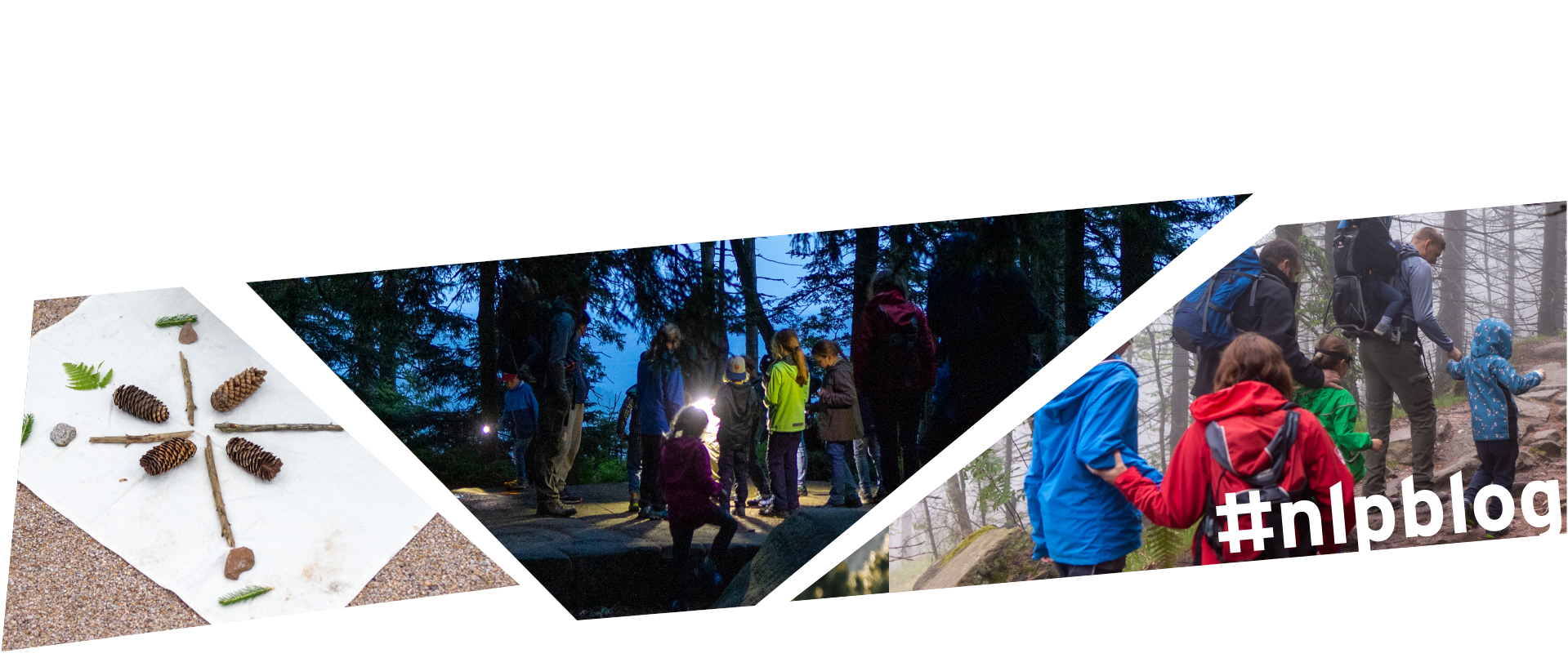 Collage aus drei Bildern: Mandala aus Ästen und Steinen, Gruppe von Kindern um ein Licht in der Dämmerung, Kinder und Erwachsene halten sich an der Hand und laufen einen schmalen Pfad im Wald. 