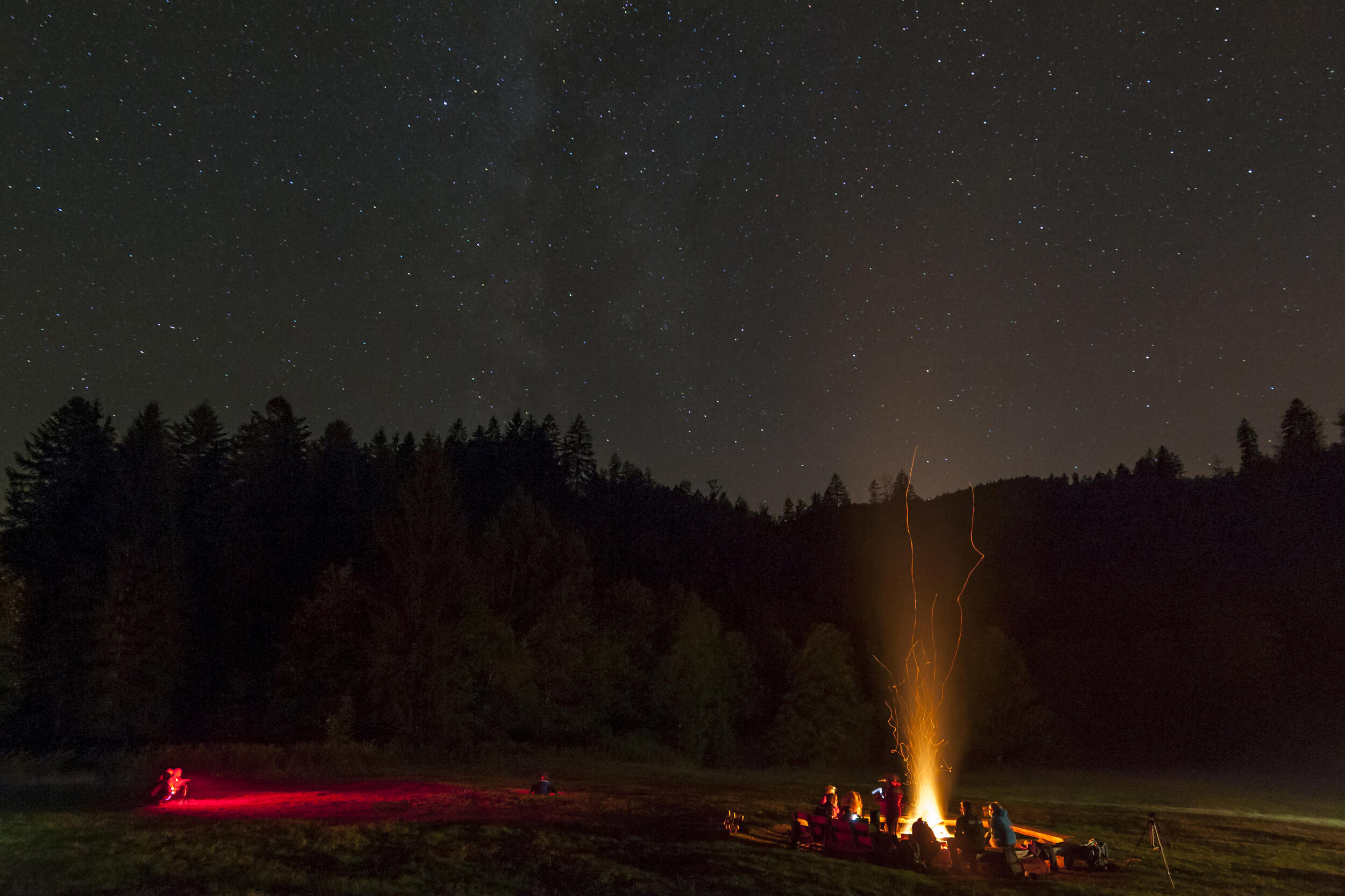 Sternennacht auf der Hahnbrunnenwiese mit Feuer © Luis Scheuermann (Nationalpark Schwarzwald)