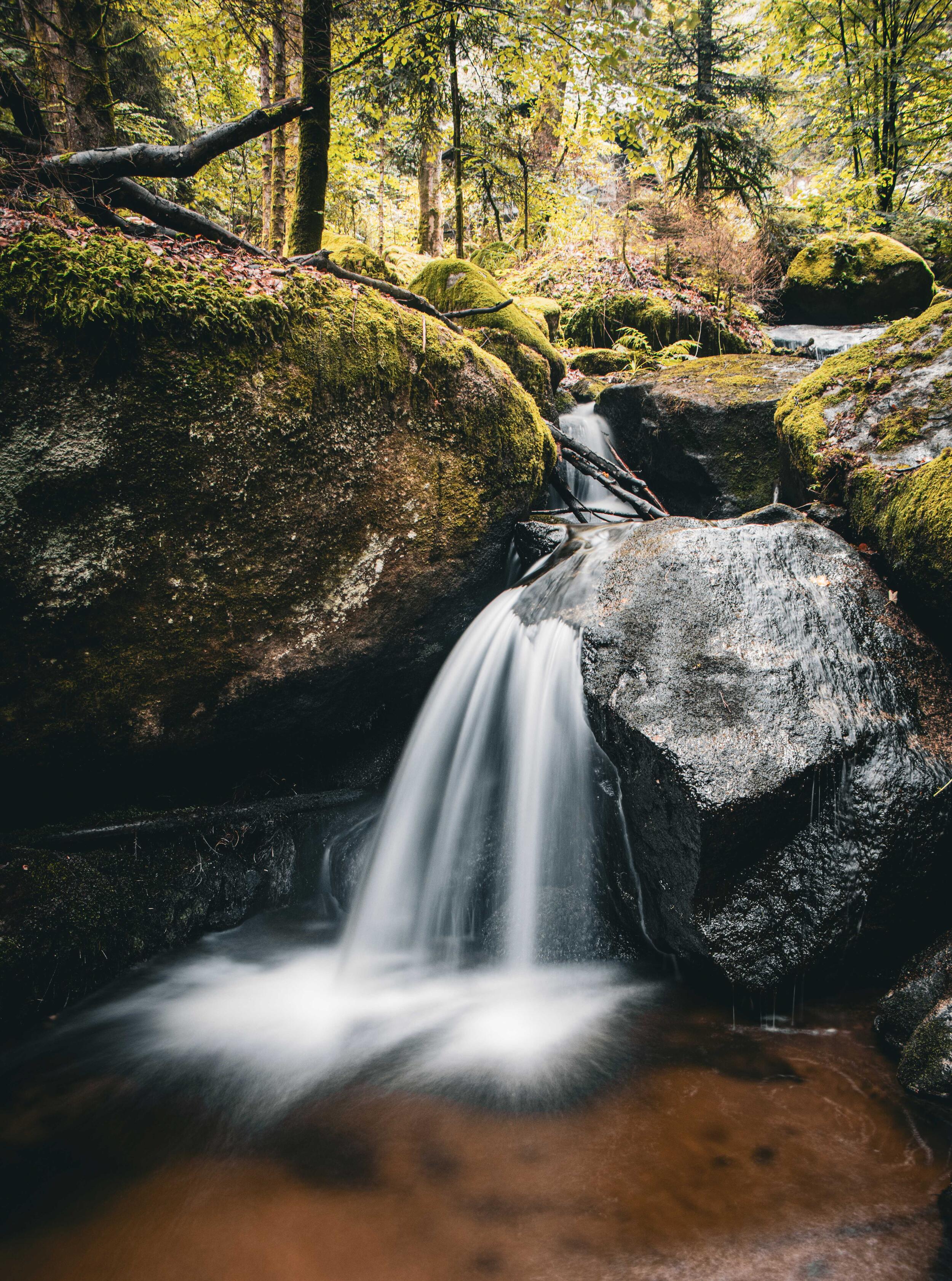 Ein Bachlauf mit kleinem Wasserfall im Wald.