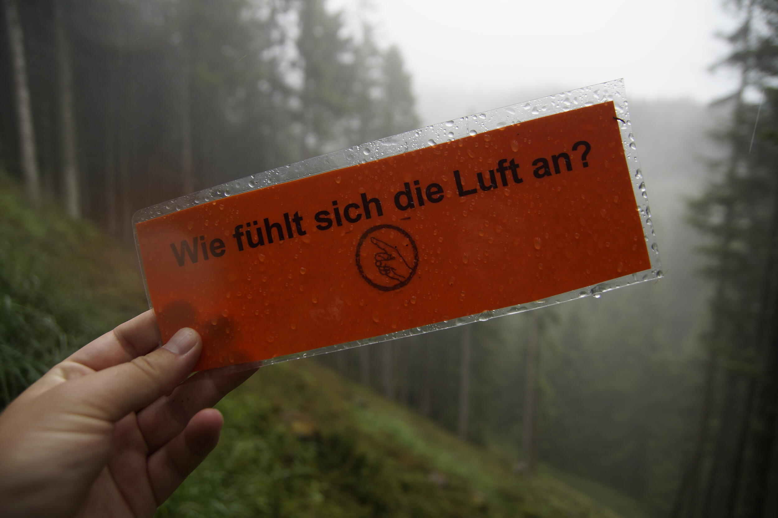 Hochhalten eines Kärtchens mit der Frage: "Wie fühlt sich die Luft an" © Daniel Müller (Nationalpark Schwarzwald)