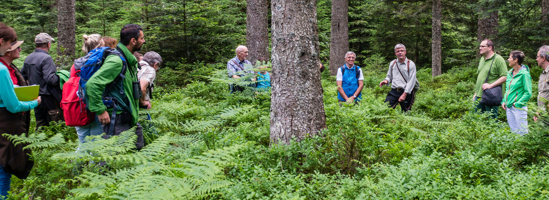 Menschen stehen in einem dicht bewachsenen Wald und hören einem Mann im Nationalparkhemd zu. © Hans-Peter Hegmann