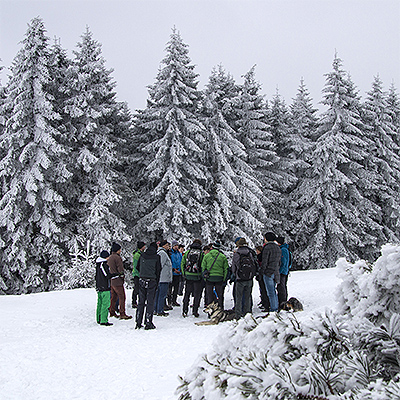 Vor einigen verschneiten Nadelbäumen steht eine größere Gruppe auf einer verschneiten Fläche im Kreis. 