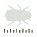 Das Icon eines Borkenäfers und eine einfache Messskala.