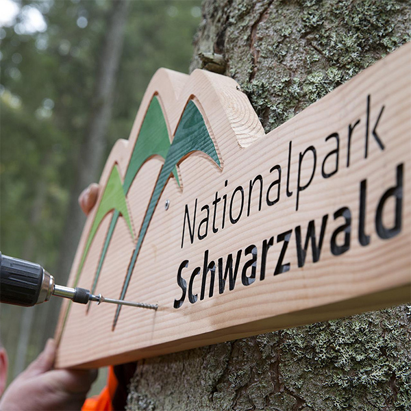 Ein hölzernes Nationalparkschild wird mit einem Akkuschrauber an einem Baum angebracht. Auf dem Schild ist das Logo und der Name des Parks zu sehen. 
