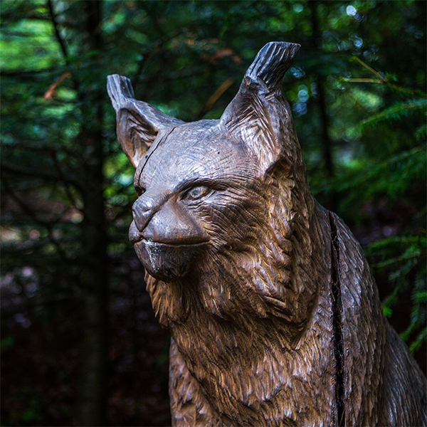 Hölzerne Statue eines Luchses am Luchspfad