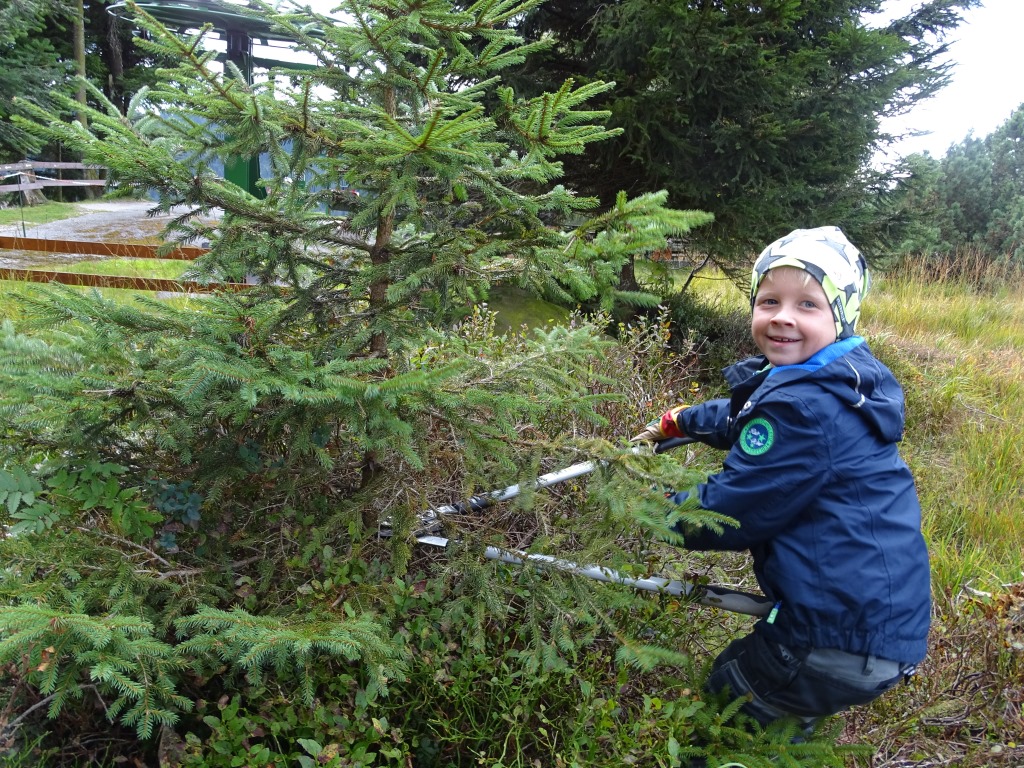 Kind bei der Grindenpflege mit Astschere © Nationalpark Schwarzwald