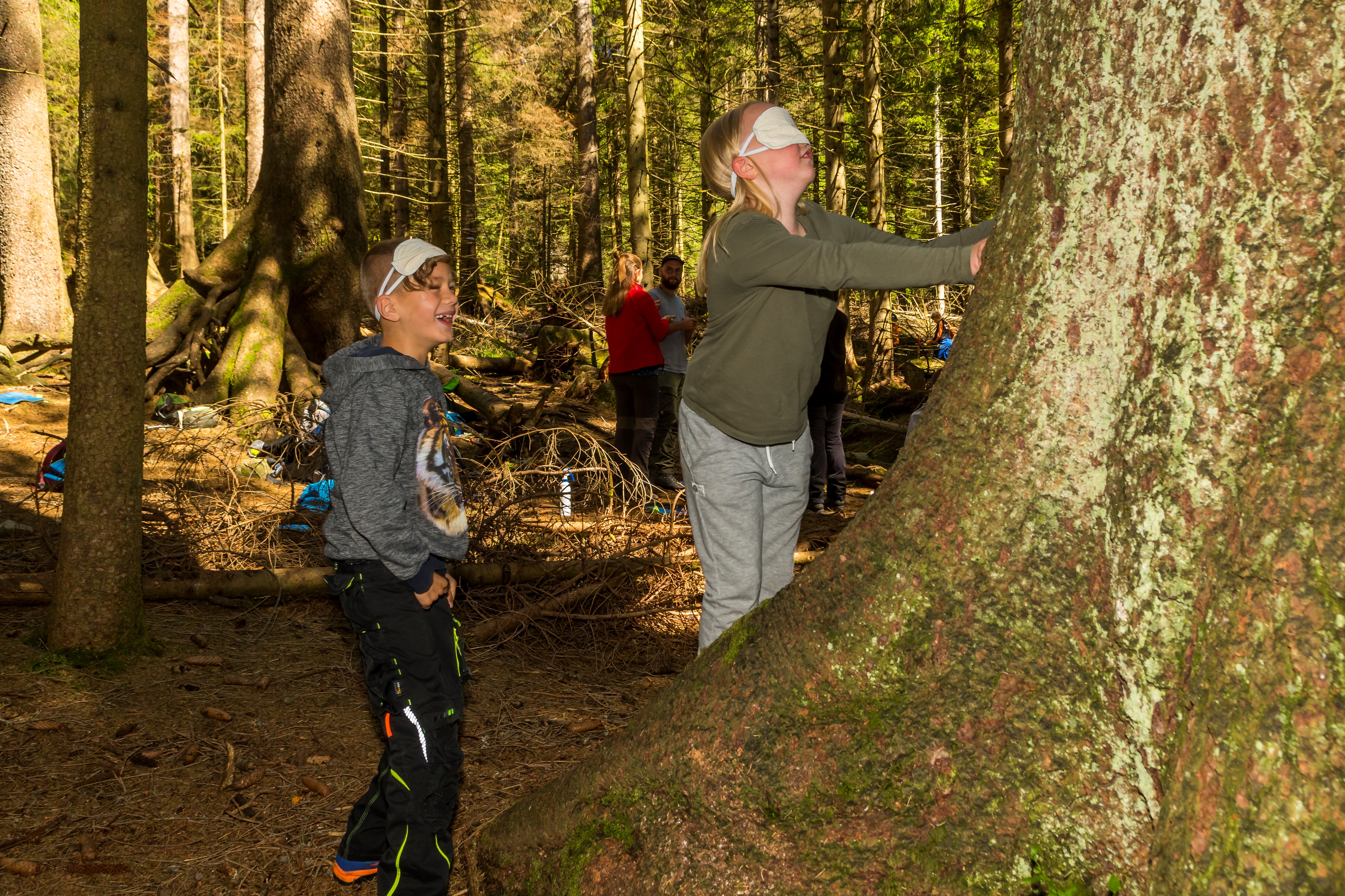 Kind mit Augenbinde ertastet einen Baum © Luis Scheuermann (Nationalpark Schwarzwald)
