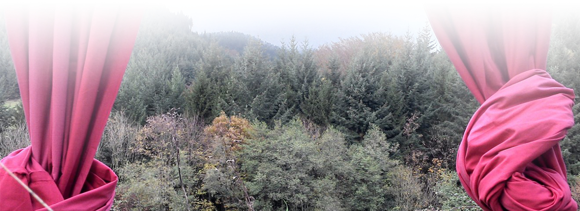 Im Vordergrund hängt ein Bühnenvorhang, den Hintergrund bildet ein Wald. © Ulrike Schweiger (Nationalpark Schwarzwald)