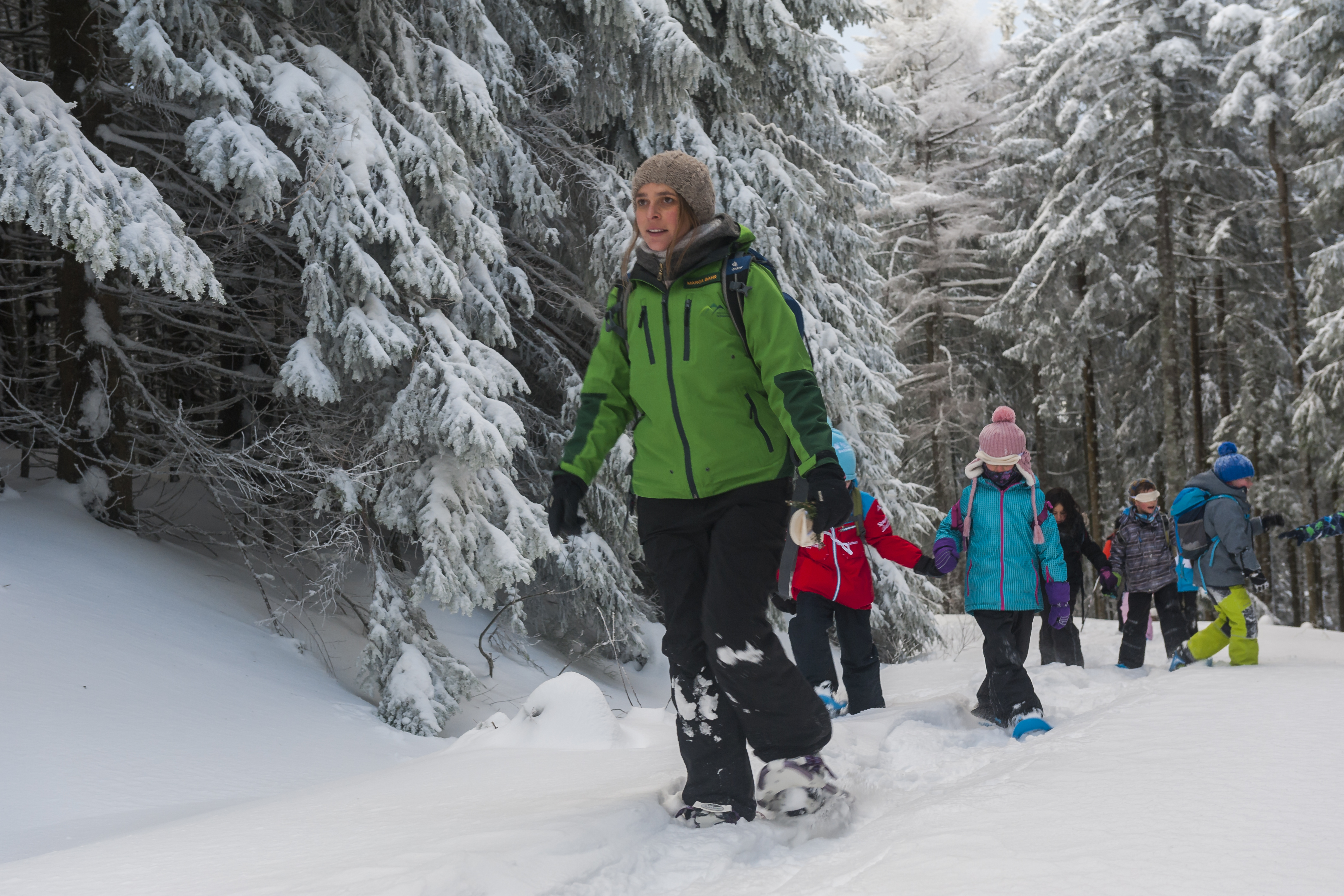 Schneeschuhtour durch den Wald © Luis Scheuermann (Nationalpark Schwarzwald)
