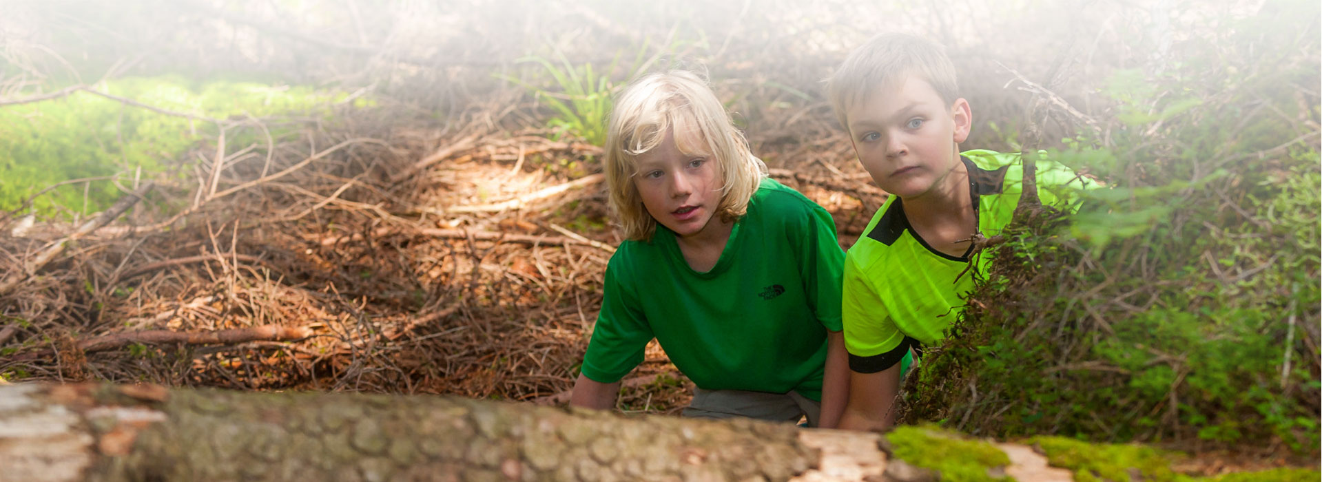 zwei Jungen schauen am rechten Bildrand hinter einem Baum hervor © Luis Scheuermann (Nationalpark Schwarzwald)