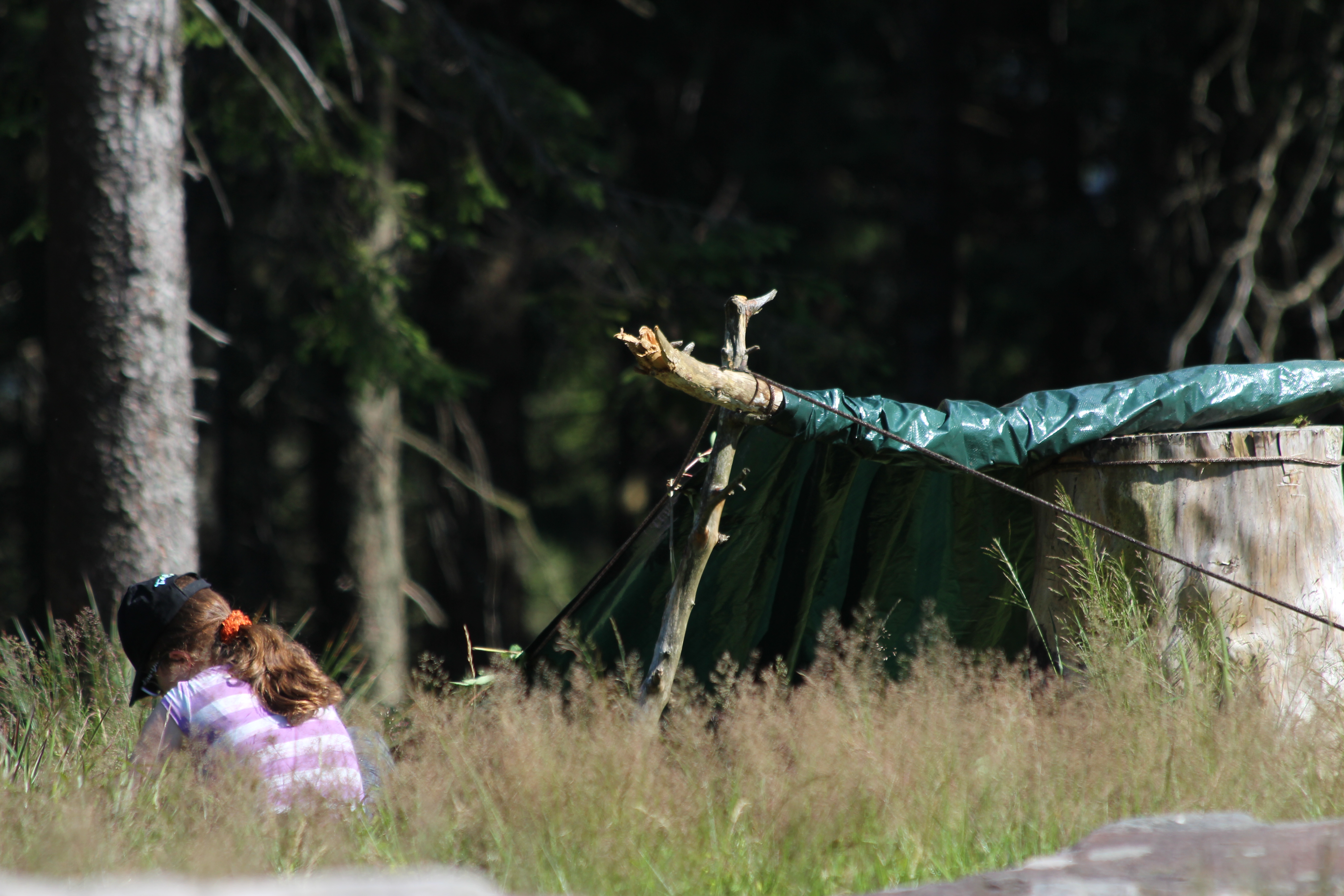 Plane über Holzgestell gespannt, Mädchen sitzt daneben © Volker Hirsch (Nationalpark Schwarzwald)