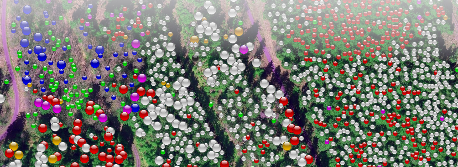 Baumarten als farbige Kugeln auf Luftbildhintergrund