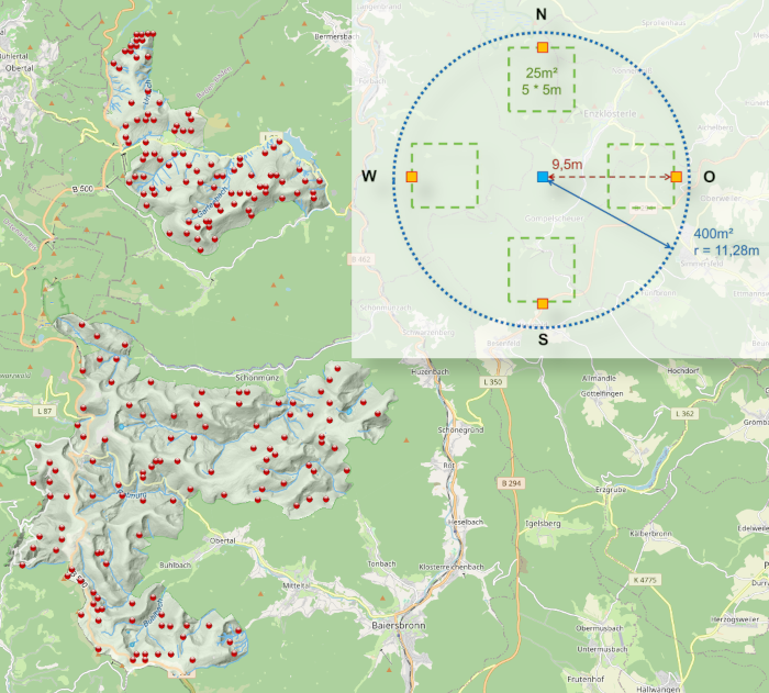 Karte mit Flächen des Prozessschutzmonitorings und Darstellung einer Monitoringfläche © Christoph Dreiser, Stefanie Gärtner