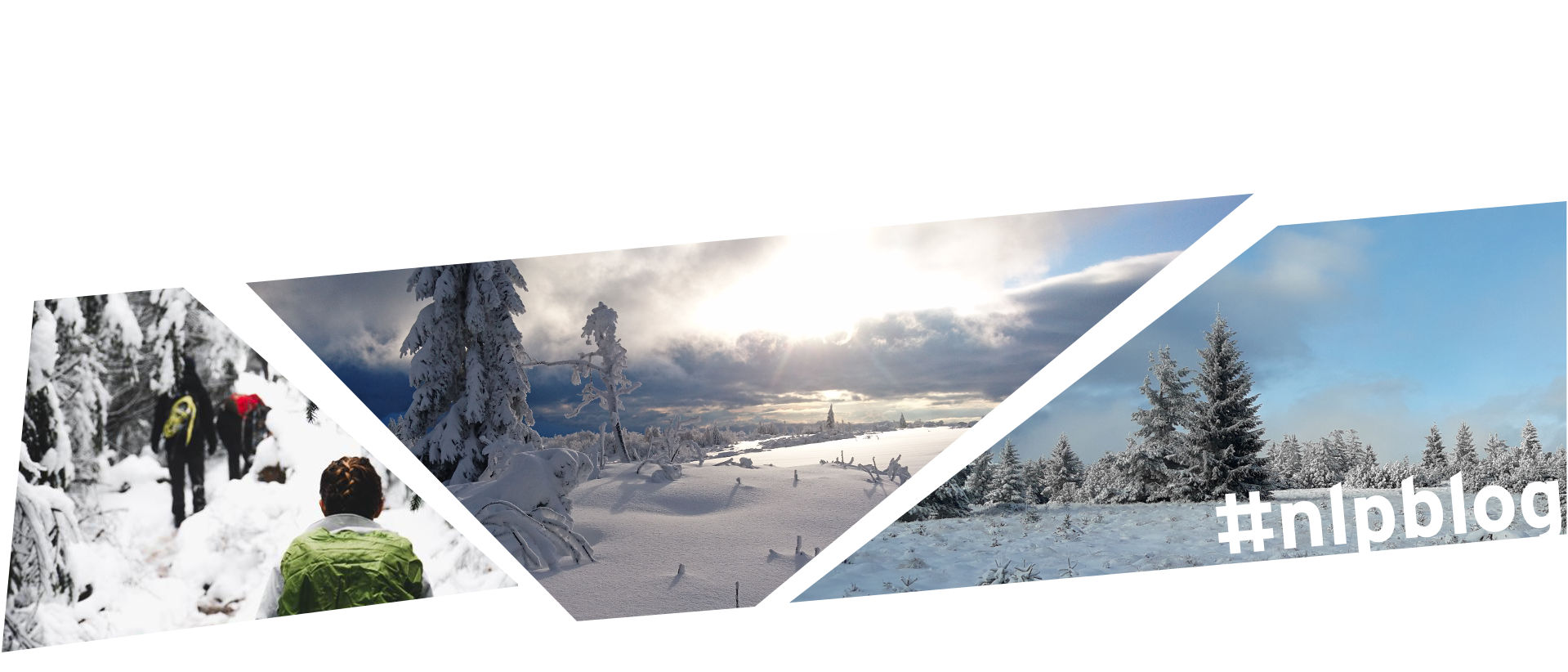 Ein dreiteiliges Bild, das zwei Schneelandschaften und eine Schneeschuhtour zeigt