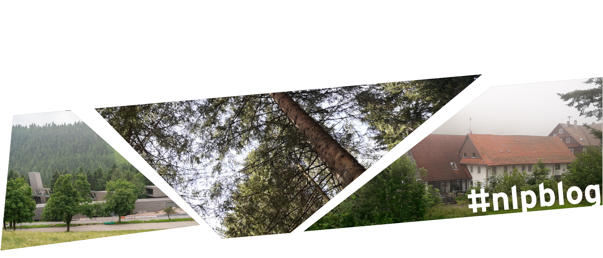 Eindrücke des Nationalpark Schwarzwald