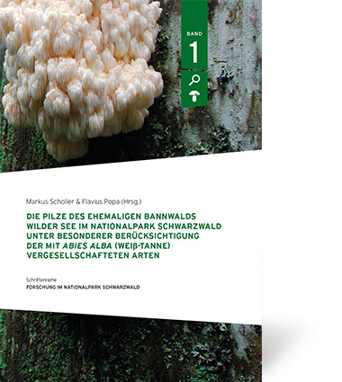 Die Pilze des ehemaligen Bannwalds Wilder See