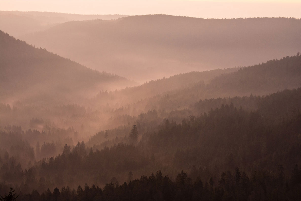 Ausblick auf das Schönmünztal. Die Nebelschwaden zwischen den Berghängen werden vom Sonnenaufgang rötlich eingefärbt. 