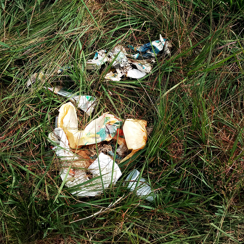 Müll liegt auf einer Wiese