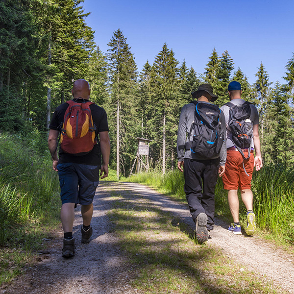 Wandergruppe unterwegs im Nationalpark Schwarzwald - Foto: Daniel Müller
