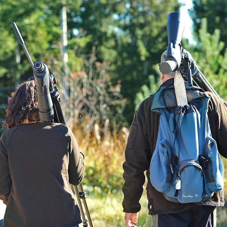 Eine Frau und ein Mann tragen große Ferngläser mit Stativ auf der Schulter. Sie wurden von hinten fotografiert.