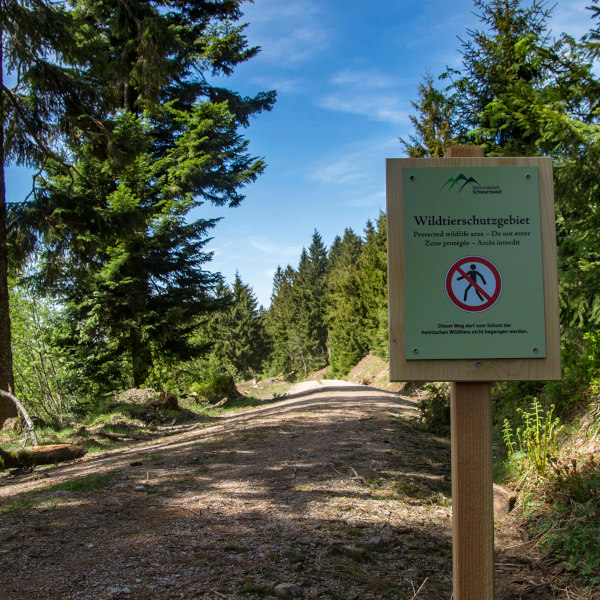 Wanderweg mit Schild © Daniel Müller (Nationalpark Schwarzwald)