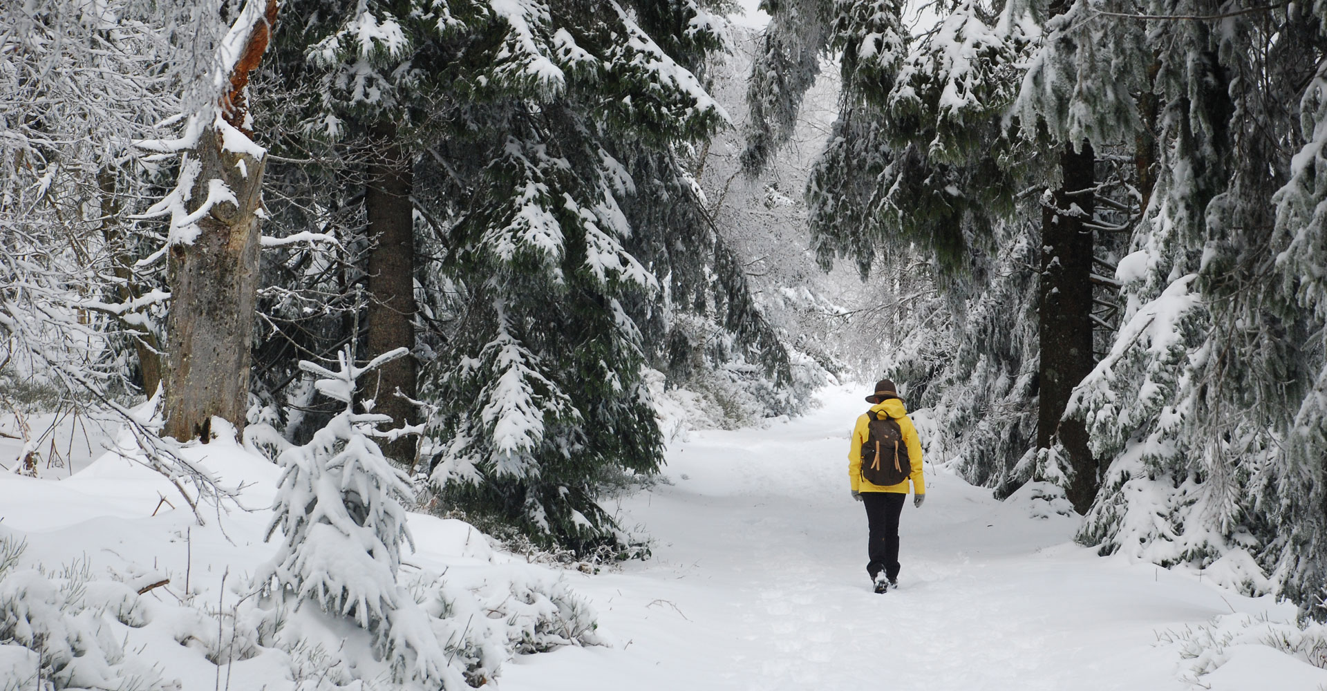 Wanderer im Schnee