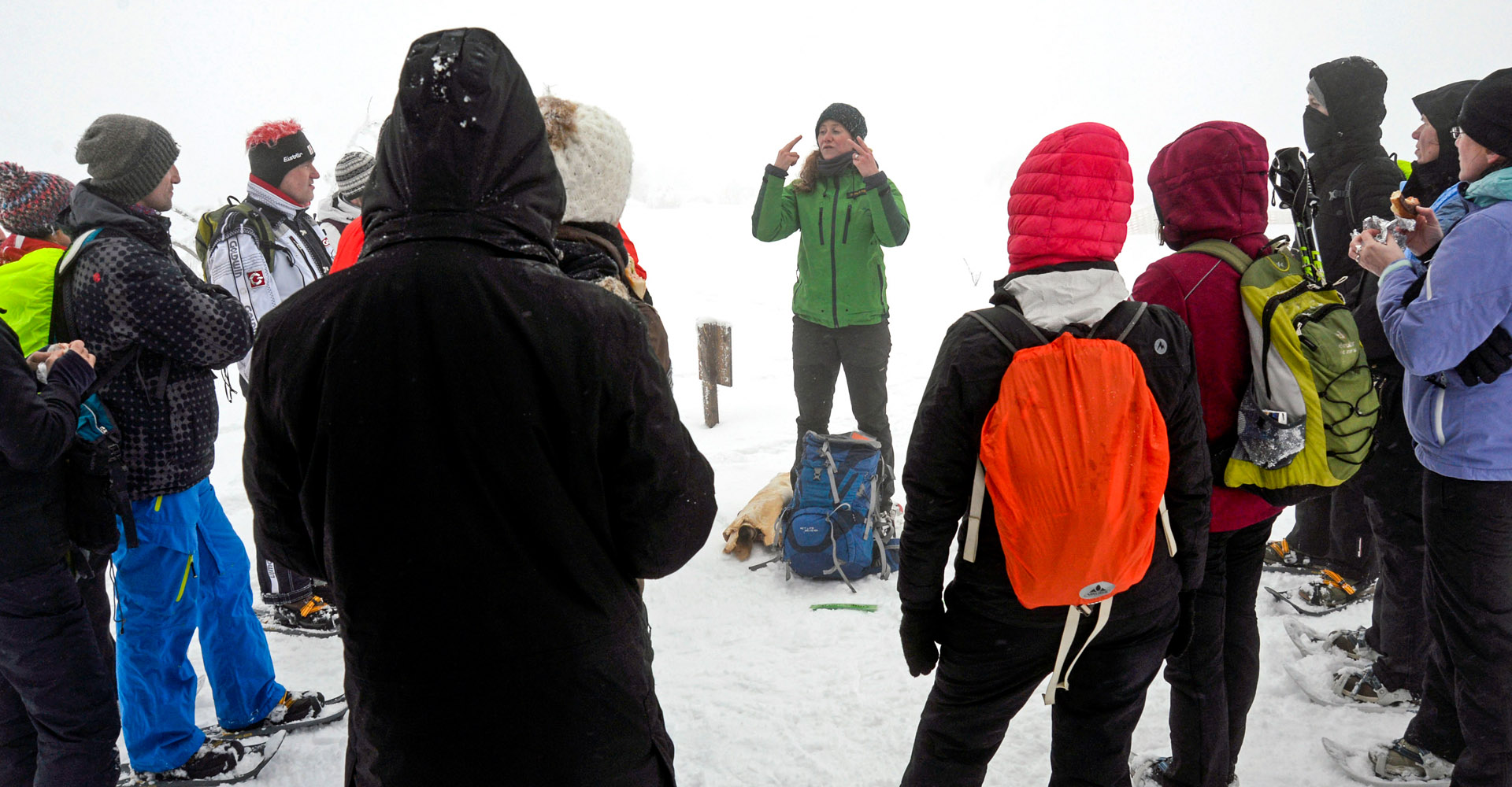 Führung in DGS - Foto: © Daniel Müller (Nationalpark Schwarzwald)