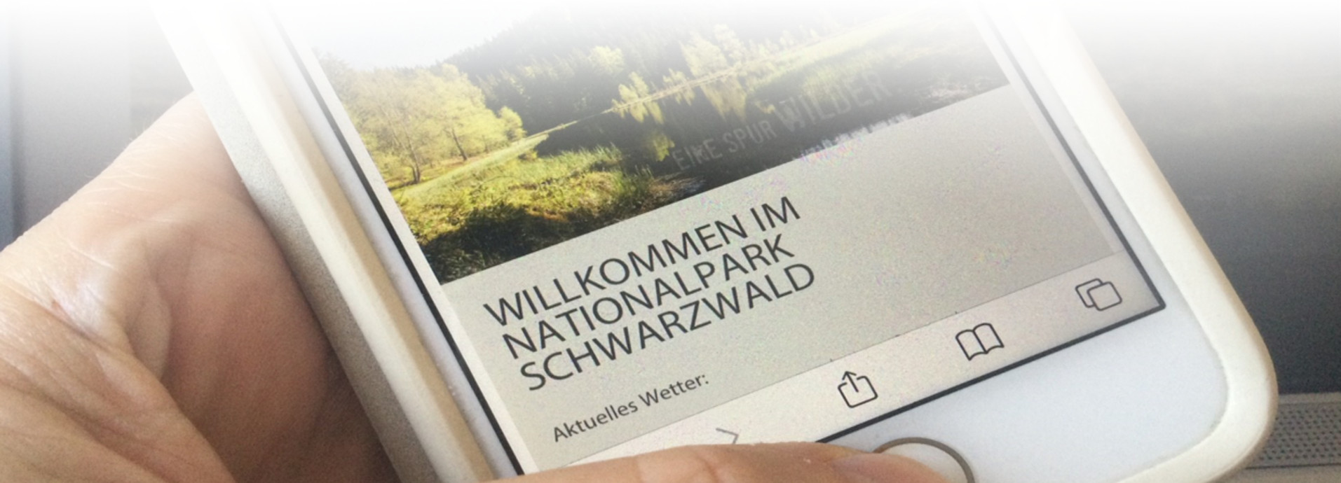 #Naturvermittlung ©Ulrike Schweiger Nationalpark Schwarzwald