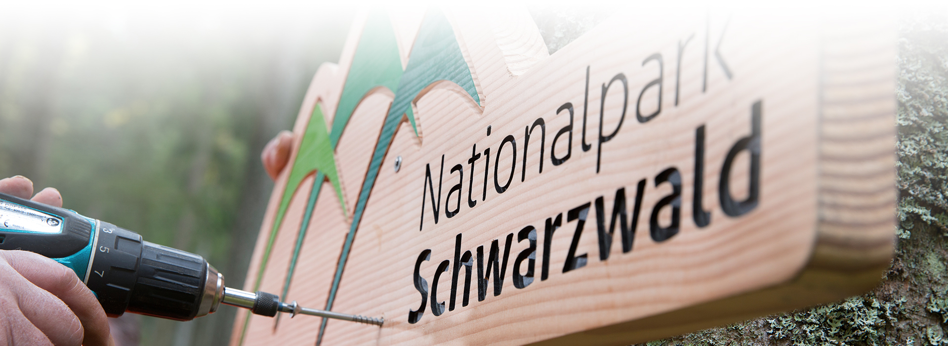 Ein hölzernes Nationalparkschild wird montiert. Auf dem Schild steht mit schwarzen Buchstaben "Nationalpark Schwarzwald", daneben ist das Logo abgebildet.
