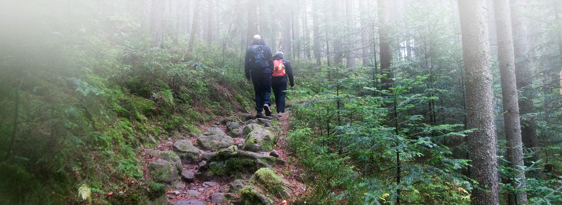Zwei Wanderer laufen einen Wanderweg entlang. Der Weg wird von dicken Steinen gebildet. Er führt durch einen Fichtenwald.