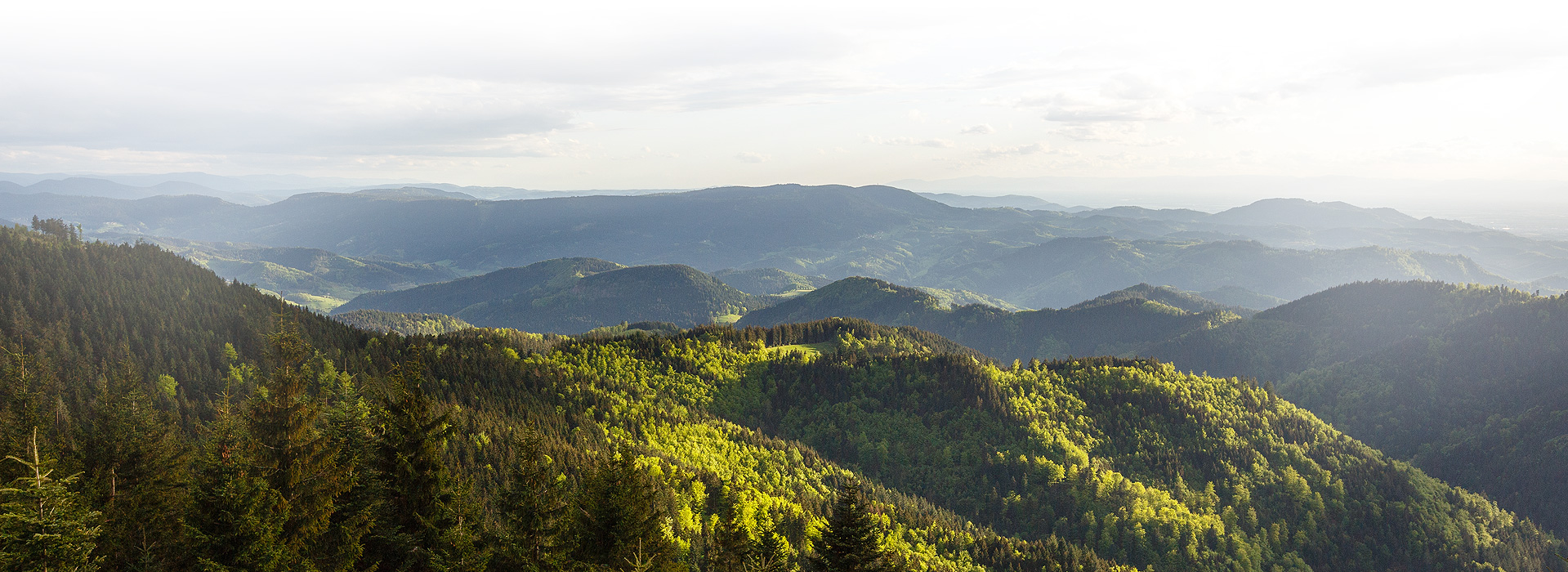 Ausblick über die Berggipfel des Schwarzwalds. Die Sonne leuchtet von rechts auf die Bäume.