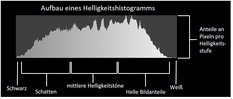 Aufbau des Histogramms © Luis Scheuermann Nationalpark Schwarzwald Foto vom Aufbau eines Histogramm © Luis Scheuermann Nationalpark Schwarzwald