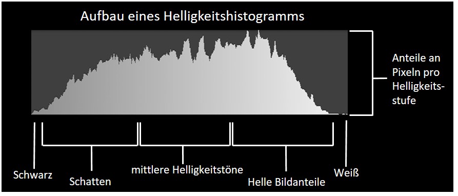 Foto vom Aufbau eines Histogramm © Luis Scheuermann Nationalpark Schwarzwald