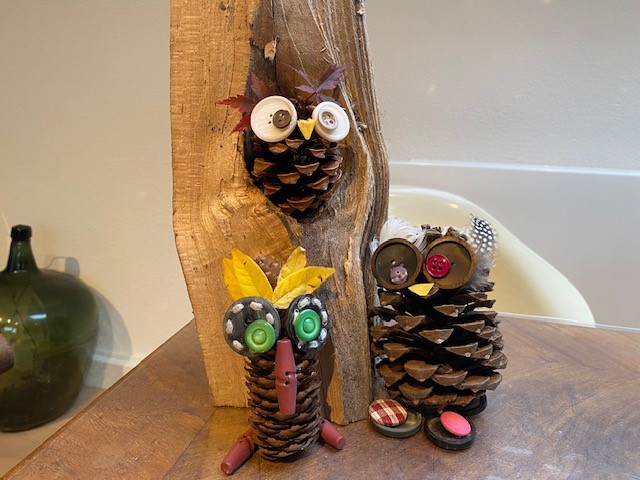 Knopf-Eulenbande © Ulrike Unser (Nationalpark Schwarzwald)