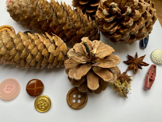 Das Material: alte Knöpfe und Zapfen © Ulrike Unser (Nationalpark Schwarzwald)