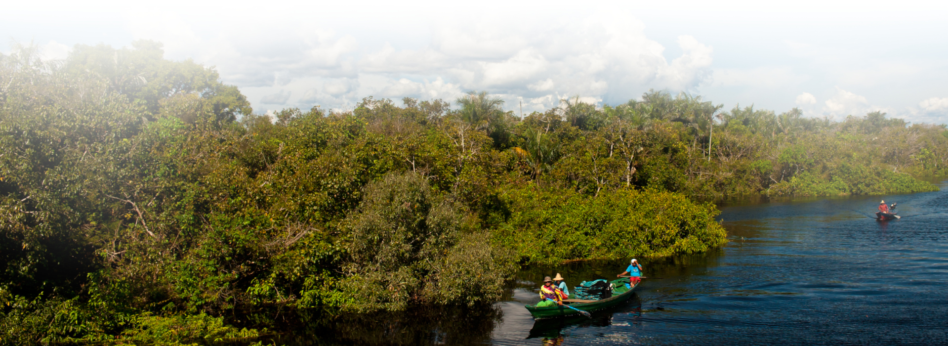 Ureinwohner im tropischen Regenwald © Luis Scheuermann (Nationalpark Schwarzwald)