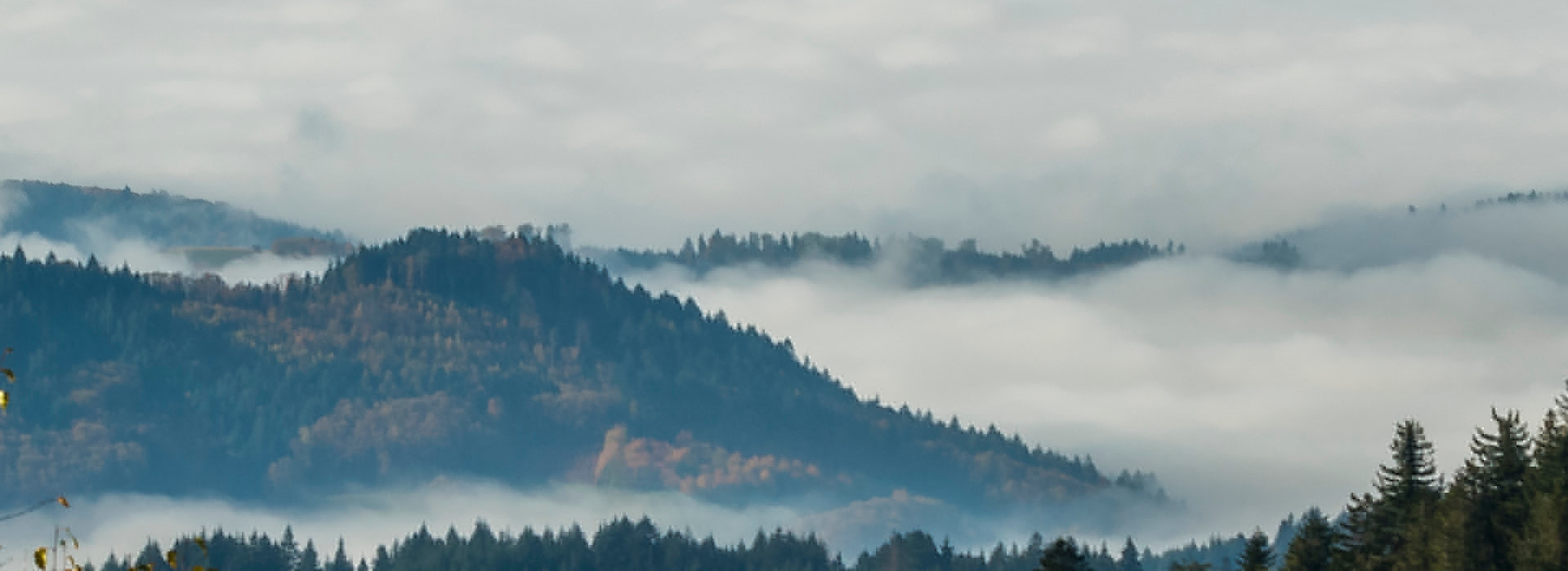 Foto einer Aussicht über den Nebel im Tal mit Fernsicht in die Vogesen © Luis Scheuermann (Nationalpark Schwarzwald) 