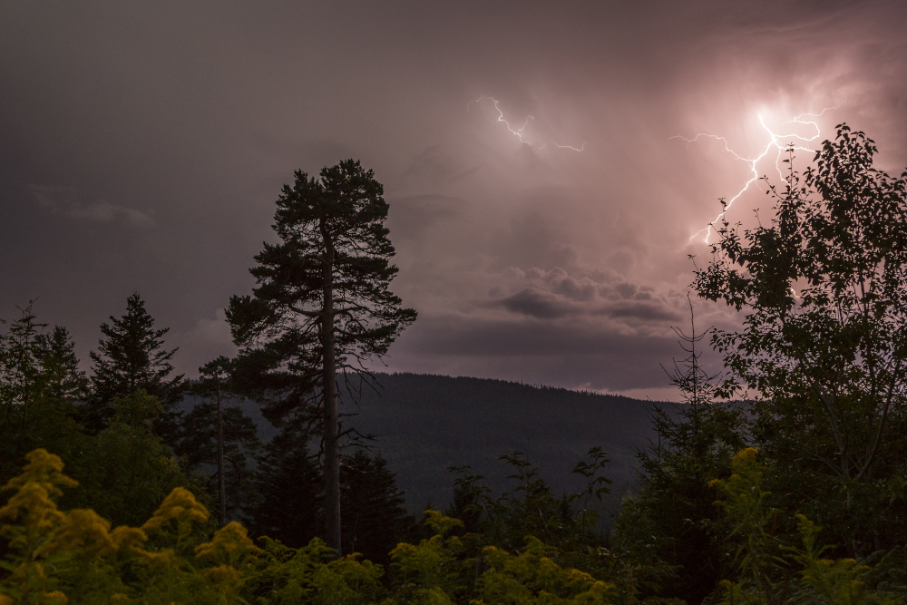 Gewitter über dem Hohen Ochsenkopf © Luis Scheuermann (Nationalpark Schwarzwald)