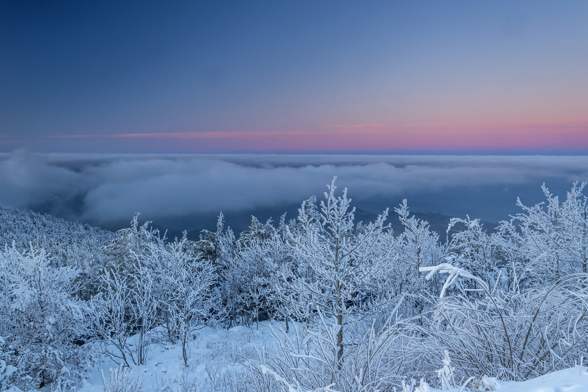 Sonnenaufgang auf der Hornisgrinde © Luis Scheuermann Nationalpark Schwarzwald