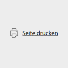 Icon "Drucken"