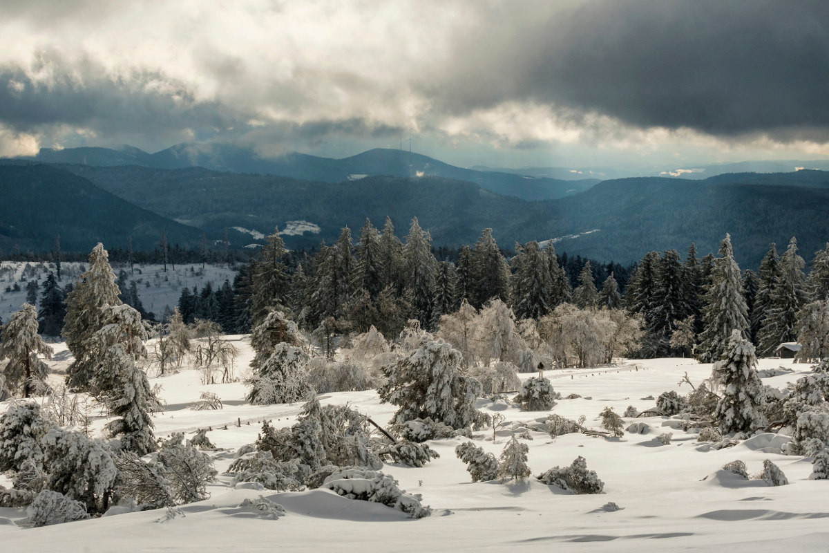 Am Horizont dunkle Schneewolken (tiefhängender Himmel), im Vordergrund eine steppenartige Schneelandschaft mit einzelnen Bäumen und Sträuchern, die im Schnee erkennbar sind.