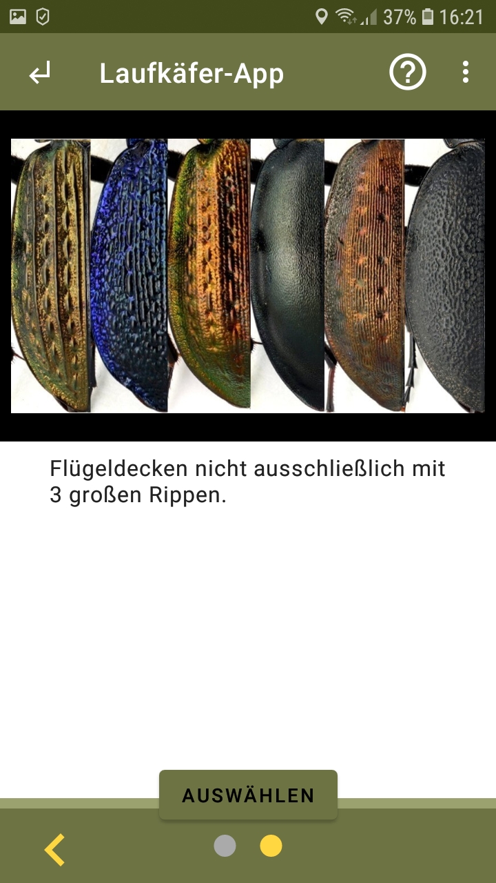 Screenshot eines Smartphone-Bildschirms, auf der die Laufkäfer-App geöffnet ist.