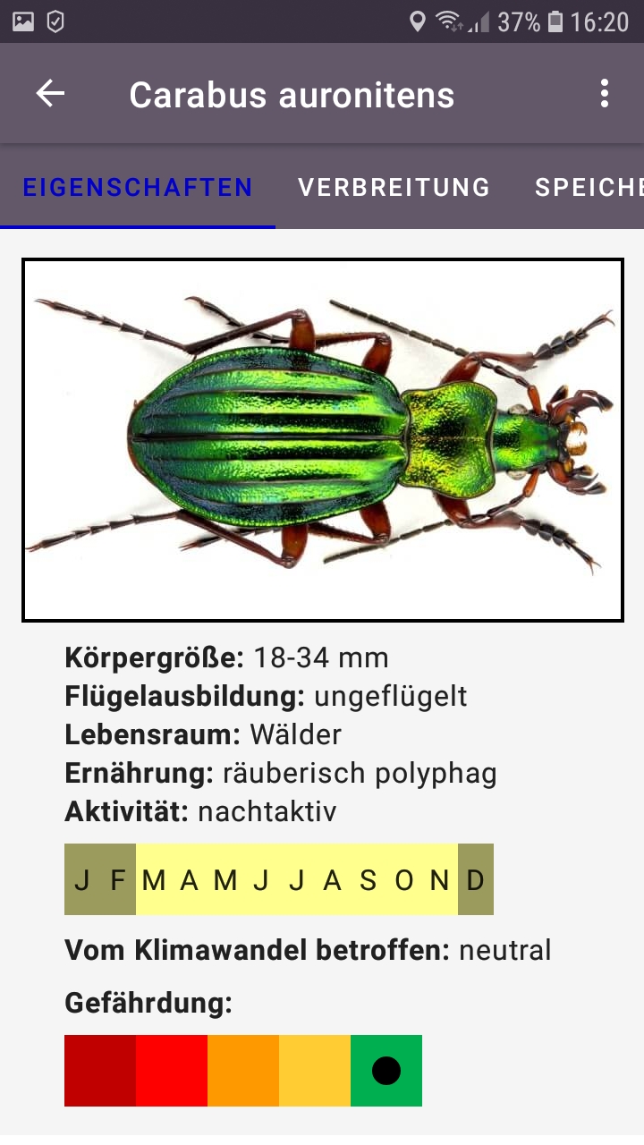 Screenshot eines Smartphone-Bildschirms, auf der die Laufkäfer-App geöffnet ist.