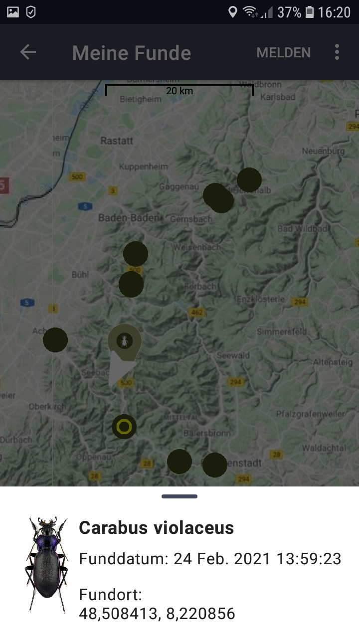 Screenshot eines Smartphone-Bildschirms, auf der die Laufkäfer-App geöffnet ist.