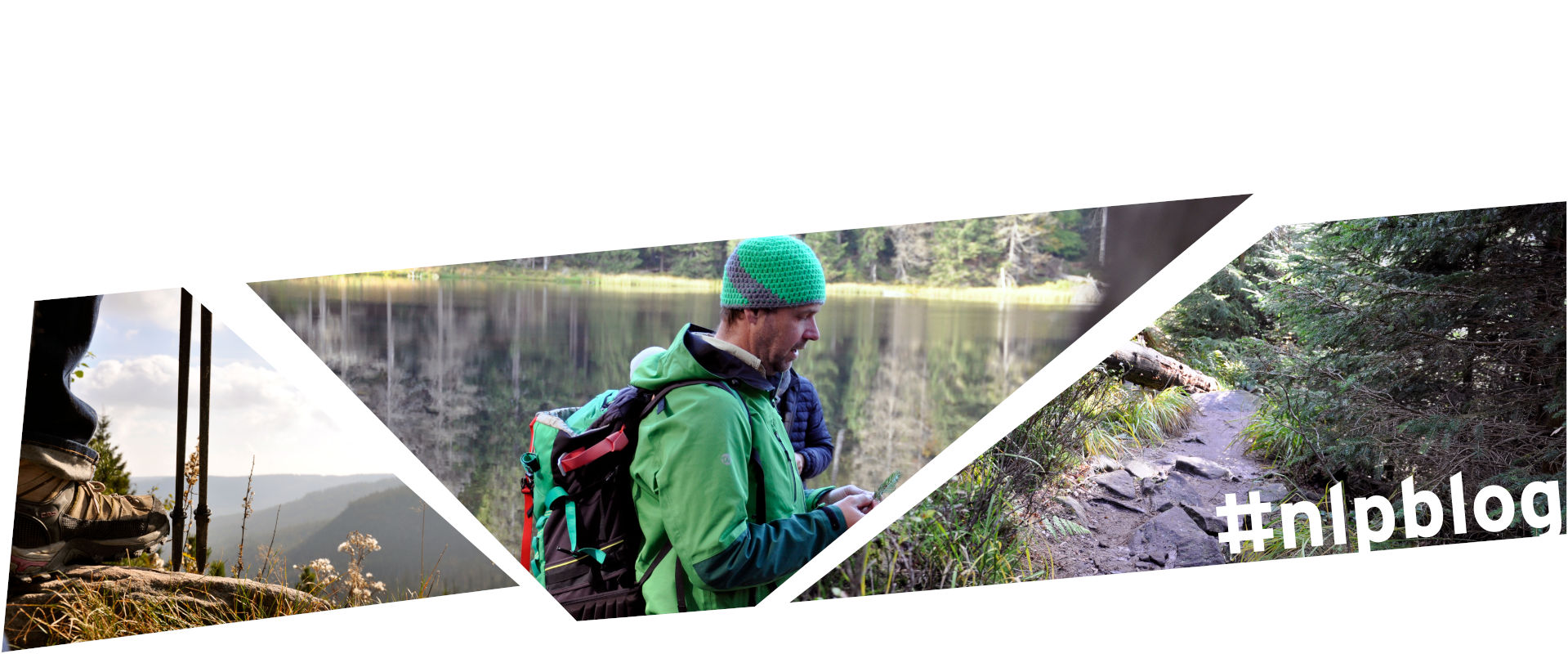 Collage aus drei Bildern: Links ein Wanderschuh und die Spitzen von Wanderstöcken im Vordergrund, im Hintergrund ein sonnenbeschienener Waldkessel. Das mittlere Bild zeigt einen Ranger mit bunt gehäkelter Mütze und herbstlich warmer grüner Outdoorkleidung, der am Ufer eines Sees steht und etwas erklärt. Das Bild zeigt einen schmalen, steinig-lehmigen Waldweg, der durch einen wild wuchernden Wald mit einem liegenden Totholzstamm führt.