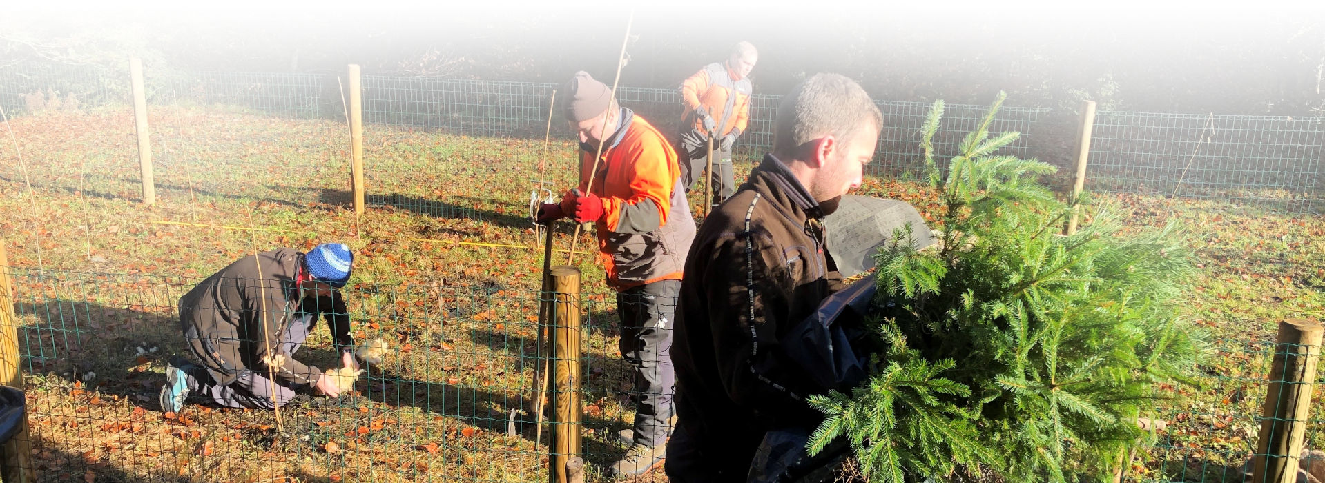 Vier Männer in Arbeitskleidung knien oder stehen in einem Wiesengrundstück und setzen junge Baumpflänzchen.